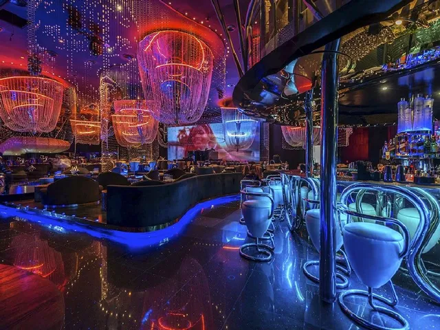 The Best Themed Bars and Clubs for Nightlife in Paris